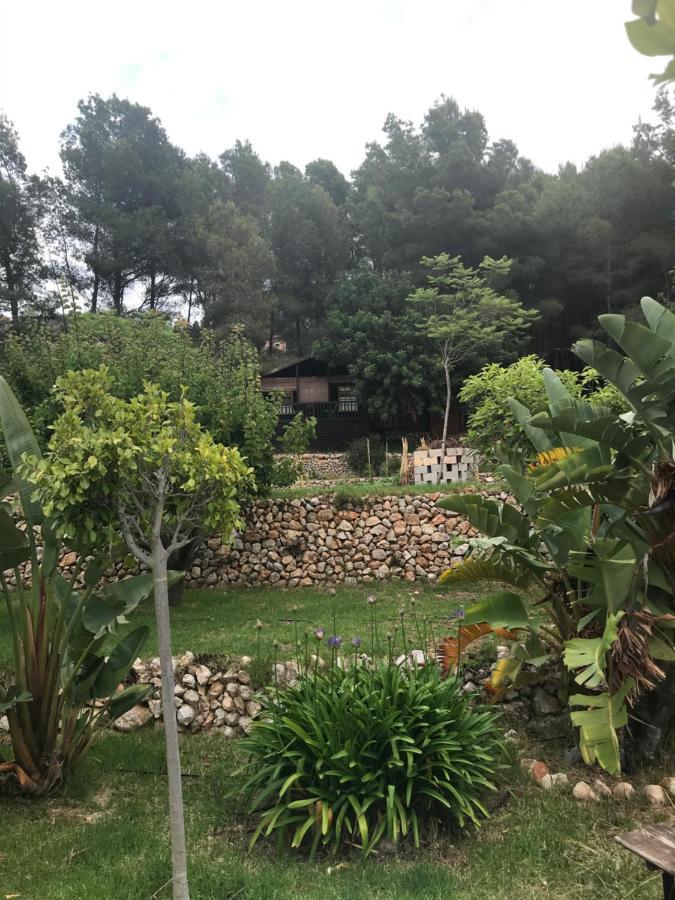 Casa Del Paso Villa Bolulla Dış mekan fotoğraf