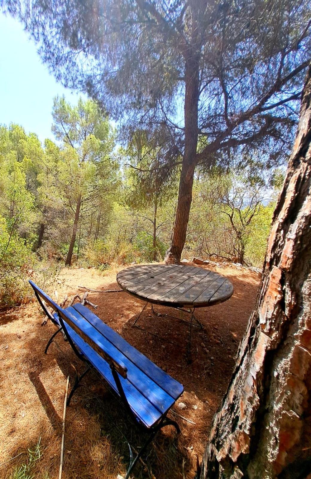 Casa Del Paso Villa Bolulla Dış mekan fotoğraf