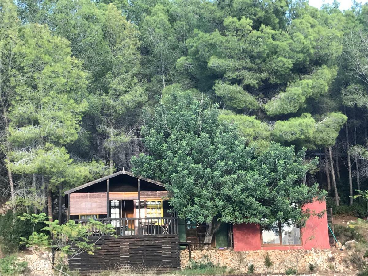 Casa Del Paso Villa Bolulla Dış mekan fotoğraf